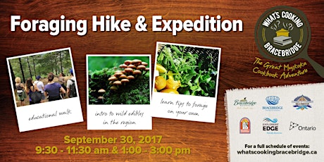 Foraging Hike & Expedition - What's Cooking Bracebridge primary image
