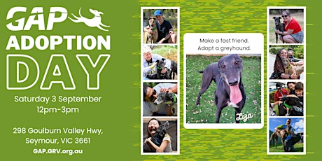 Greyhound Adoption Day at Seymour primary image