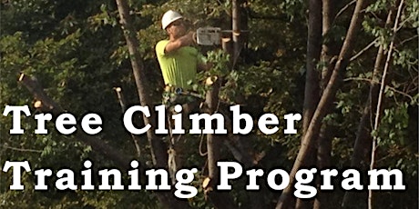 The Tree Tribe: Tree Climber Training Program primary image