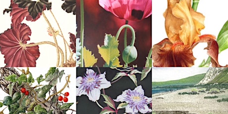 How to be a botanical artist  primary image