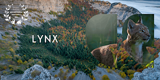 UK Premiere Screening of 'Lynx' plus Director Q&A