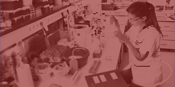 DNA Barcode Workshop (Insects)