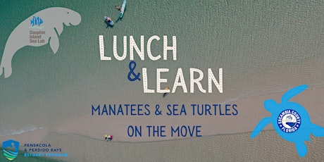 Lunch & Learn: Manatees and Sea Turtles on the Move