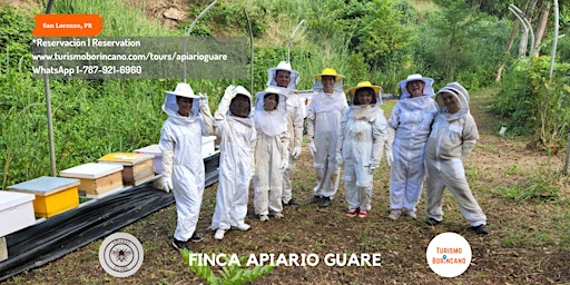 Finca Apiario Guare Beekeeping Tour primary image