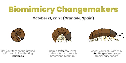 Biomimicry Changemakers
