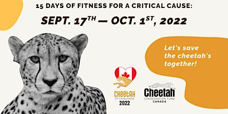 Cheetah Fit Challenge 2022 primary image