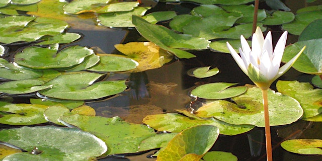 Image principale de Not gonna happen!