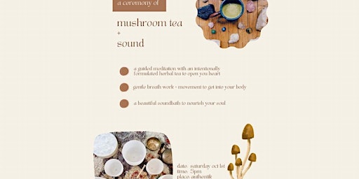 Mushroom Tea + Sound