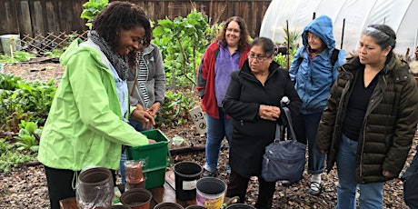 Community Garden Workshops// Talleres de Jardineria Comunitaria