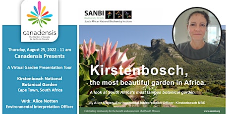 Canadensis Presents: A Virtual Visit to Kirstenbosch Botanical Garden