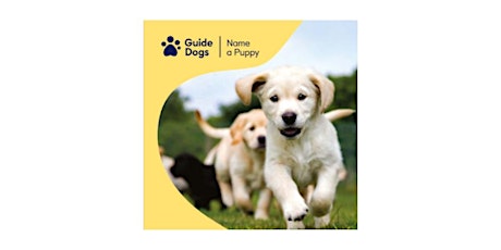 Quiz Night in support of Guide Dogs