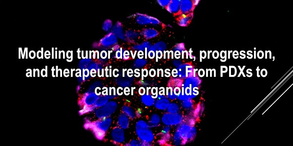 Modeling tumor development, progression, and therapeutic response