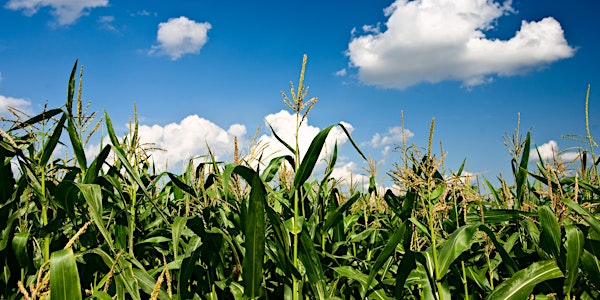 Iowa Collaborative Conservation