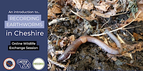 An Introduction to Recording Earthworms in Cheshire