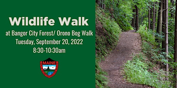 Wildlife Walk at Bangor City Forest/ Orono Bog Boardwalk