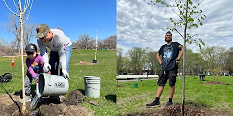 Roseville Boulevard- Volunteer Tree Planting