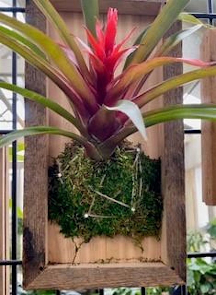 Epiphyte Wall Mount Happy Hour Workshop image
