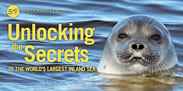 Unlocking the Secrets of the World's Largest Inland Sea