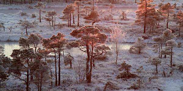 Training Workshop on Research Design and Methodology for Standards (London)