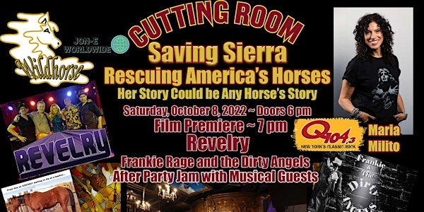 Saving Sierra ~ Rescuing America's Horses