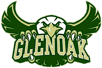 GlenOak Class of '01 and '02-  20 year Reunion