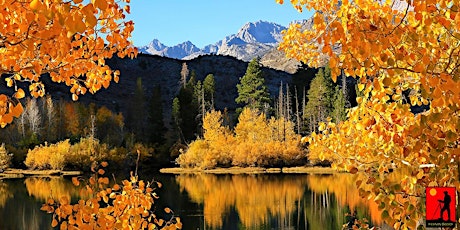 Eastern Sierra Fall Colors Tour  Photo Workshop primary image