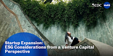 Startup Expansion: ESG considerations from a venture capital perspective