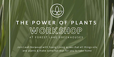 The Power of Plants: Essential Oils with Leah Norwood