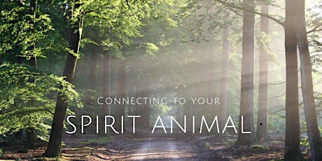 Connecting with your Spirit Animal primary image