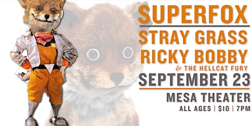 SUPER FOX + STRAY GRASS + RICKY BOBBY primary image