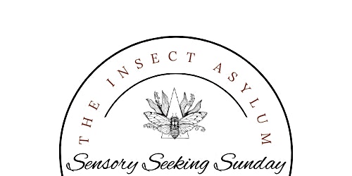 Sensory Seeking Sunday