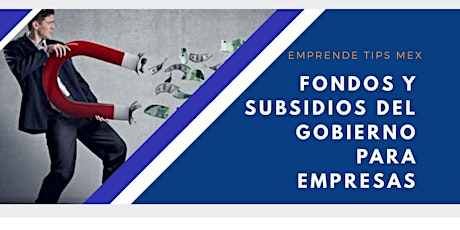 Imagen principal de Fondos y Subsidios del Gobierno para empresas y emprendedores a Fondo Perdido 