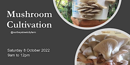 Simple Mushroom Cultivation