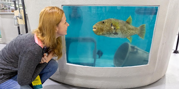 National Aquarium Animal Care and Rescue Center Tour 2022