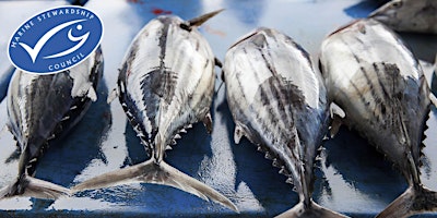MSC certification and tuna: Implications of the new MSC Fisheries Standard