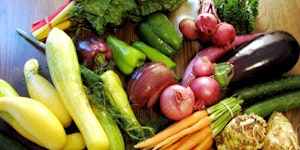 An Introduction to Local, Sustainable Procurement for...