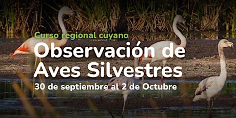 8º Curso Regional Cuyano de Observación de Aves Silvestres