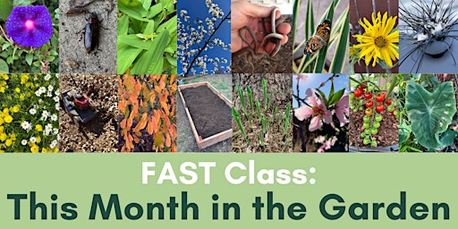 FAST Class: This Month in the Garden
