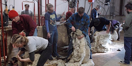 USU Sheep Shearing School 2023 primary image