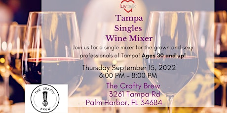 Tampa Bay Singles  Wine Mingle + Meet