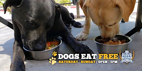Dogs Eat Free | University of Beer - Folsom