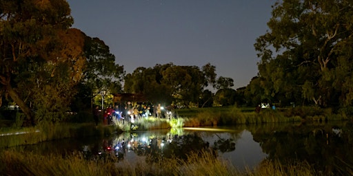 Nature by Night at Oaklands Wetland