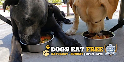 Dogs Eat Free | University of Beer - Sacramento primary image