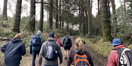 Primaire afbeelding van Macedon Memorial Cross Group Hike