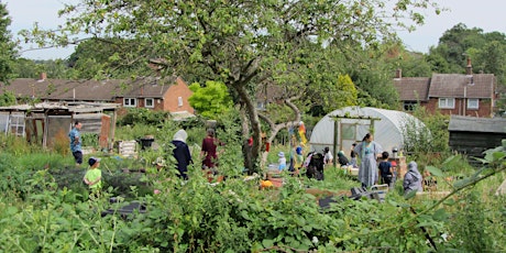 FREE Food Growing Sessions at Rowlatts Hill Community Allotment primary image