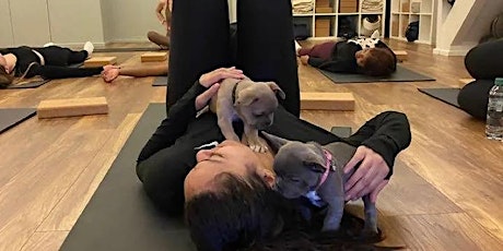 Puppy Yoga with WILC