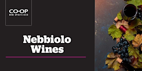 Barolo - Barbaresco - Gattinara, A Celebration of the Nebbiolo Grape