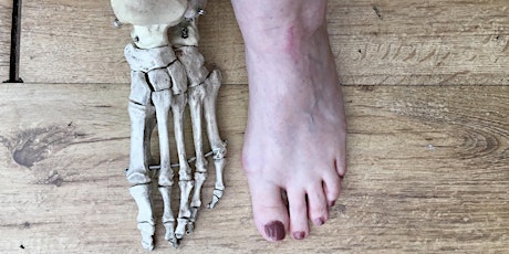 Imagem principal de Restore Your Body With The Feldenkrais Method: Feet, Knees & Ankles