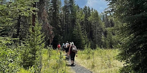 Forest Therapy Guided Walk, St. Patrick's Island