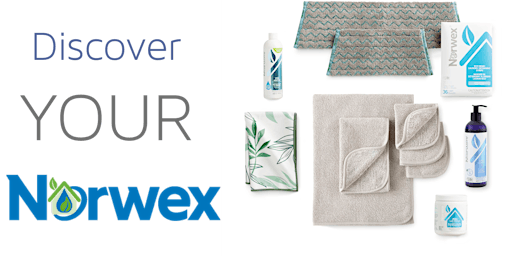 Discover YOUR Norwex Leader Lunch at Fresh Forage in Ann Arbor, MI